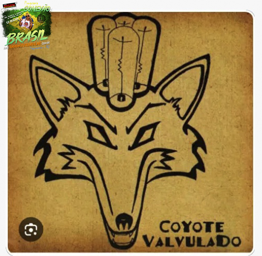 PROGRAMA CONEXÃO BRASIL E COYOTE VALVULADO NA  RÁDIO MISTUREBA ONLINE, ONDE OS AMIGOS DE ENCONTRAM