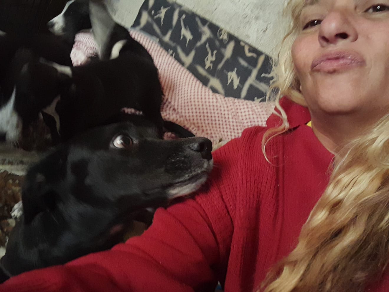 DIA 16 11 25 B CONEXÃO BRASIL COM LU ROCHA DE VILATUR SAQUAREMA